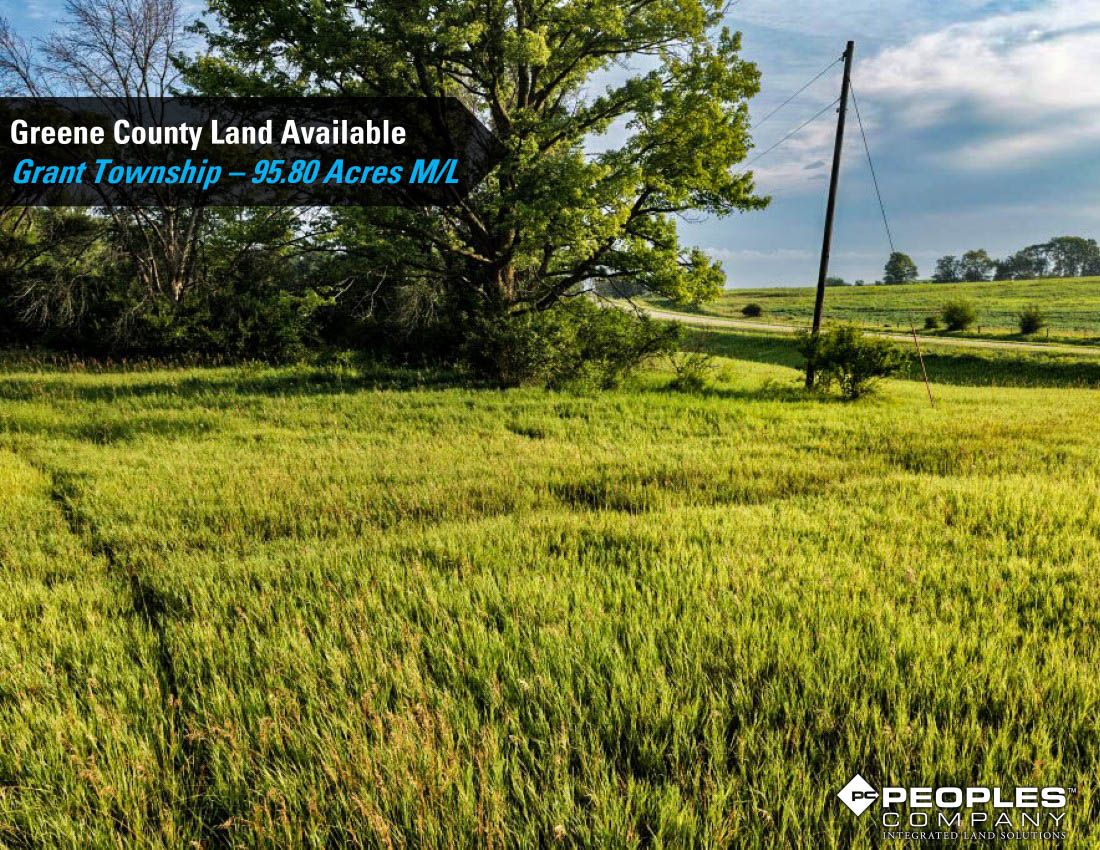 Listing Photo: Greene-Co-Rec-Land-Available-95-Acres-19559 (20)